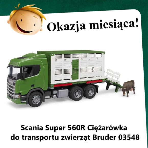 Oferta Miesiąca